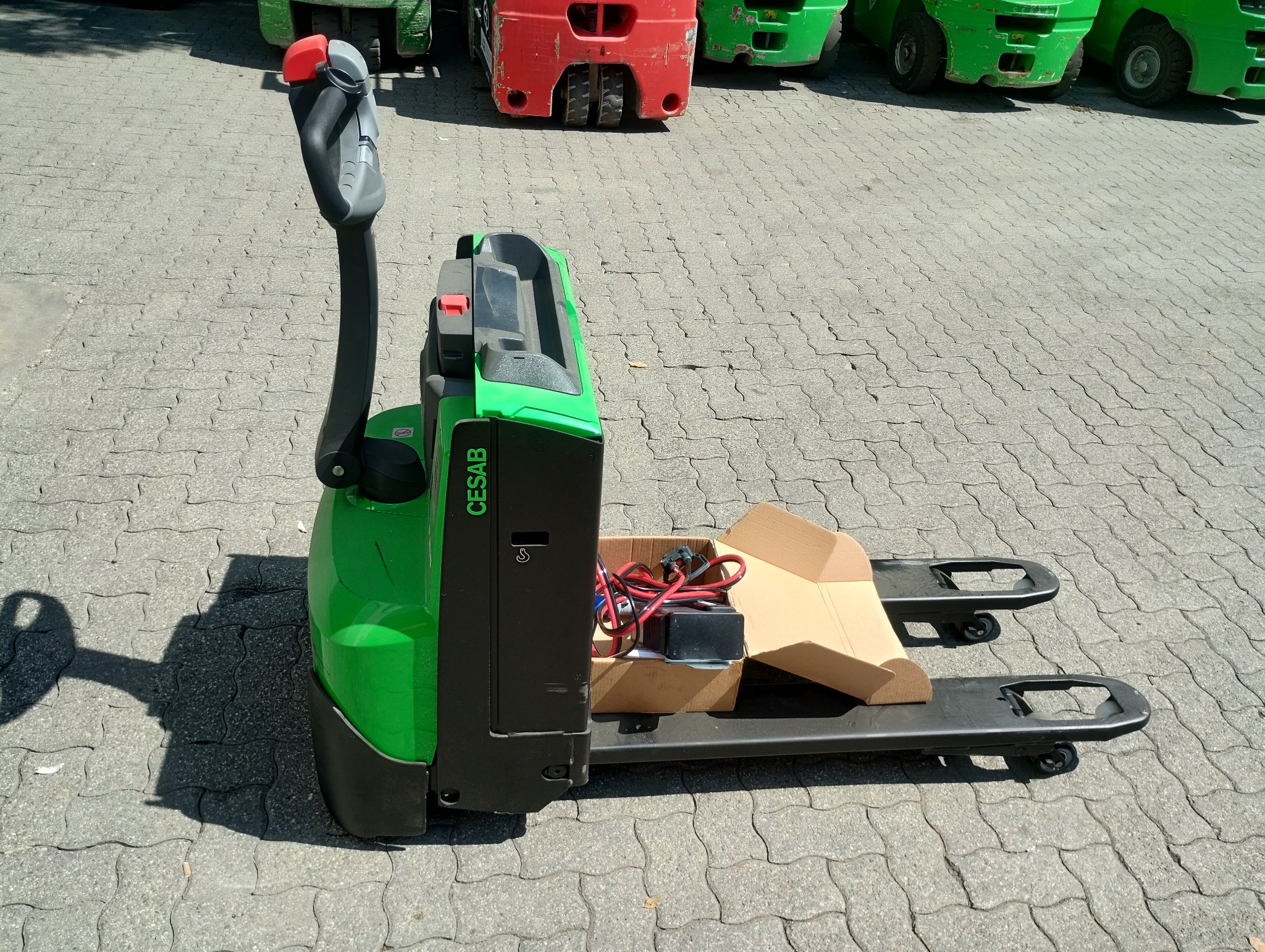 CESAB P216