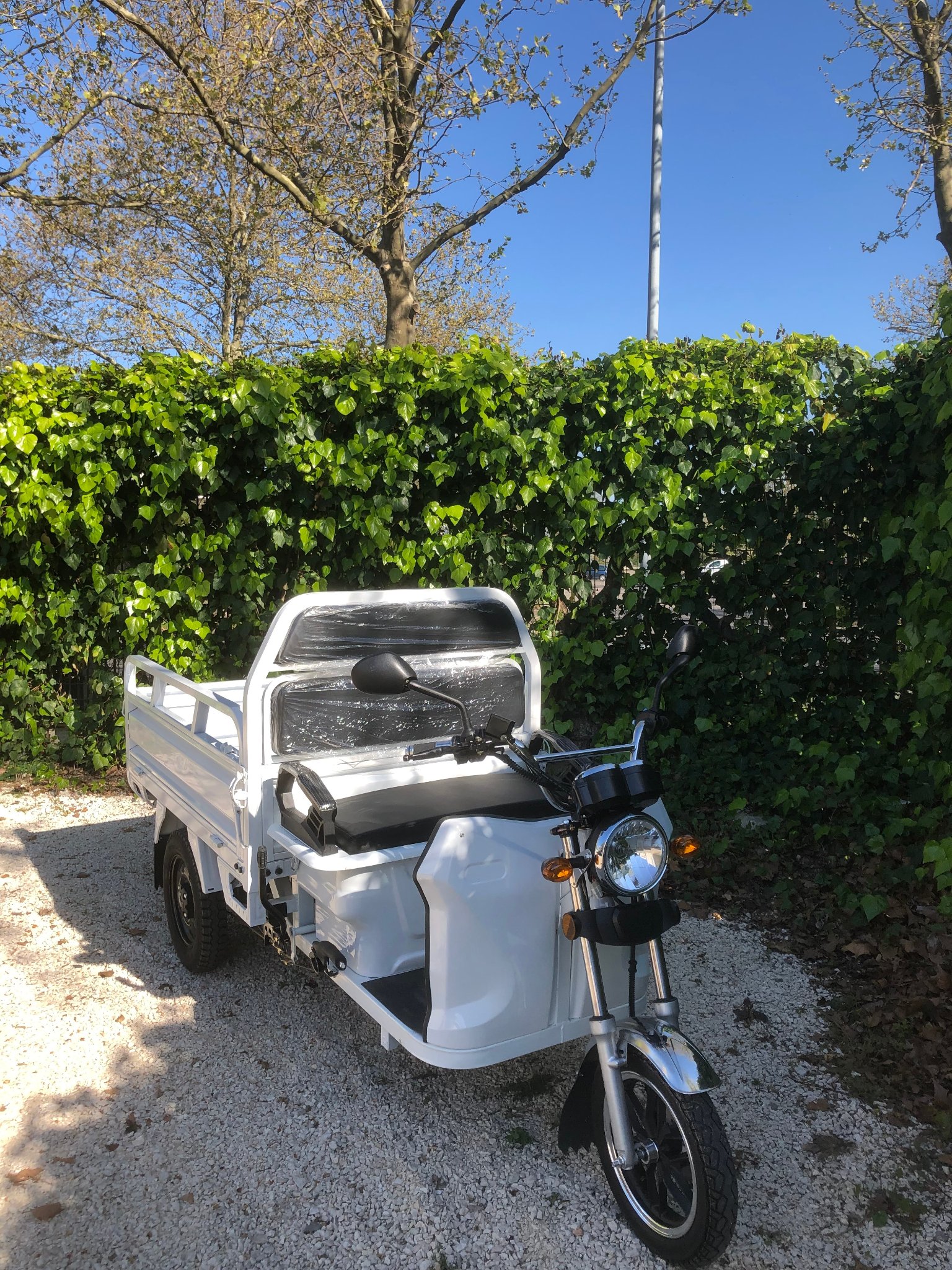 ECOMOVER CARGO