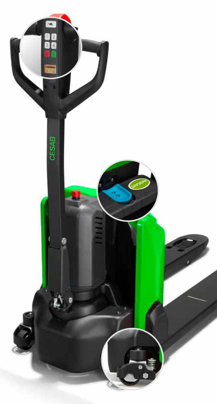CESAB P013
